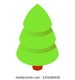 Fir tree icon. Isometric of fir tree vector icon for web design isolated on white background