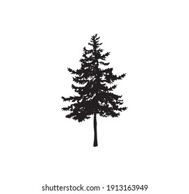 fir tree icon vector isolated on white, pine tree silhouette.