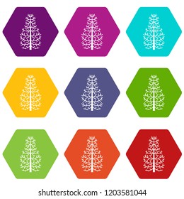 Fir tree icons 9 set coloful isolated on white for web