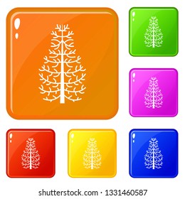 Fir tree icons set collection vector 6 color isolated on white background