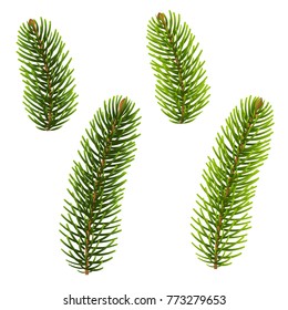 Fir Tree Isolated, Vector Illustration