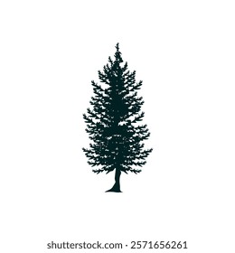fir tree logo design, mountain, premium vector mountain and spruce design, outdoor logo, camper logo design
