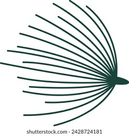 Fir Tree Needles Vector Illustration