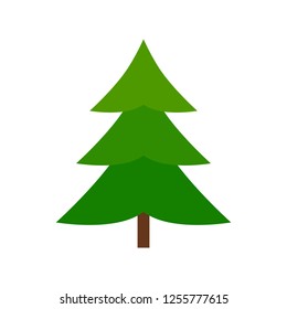 Fir tree on white background
