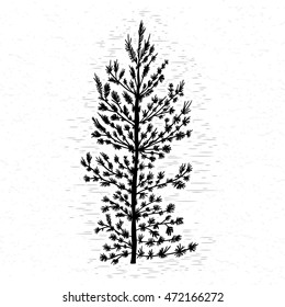 Fir tree on white textured background illustration. Black coniferous tree silhouette. Hand drawing. 
