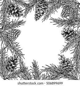 Fir tree and pine cone hand drawn vector square frame for winter and holiday decor. Botanical xmas and new year illustration. Great for greeting card, poster, banner