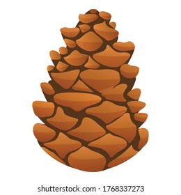 Fir tree pine cone icon. Cartoon of fir tree pine cone vector icon for web design isolated on white background