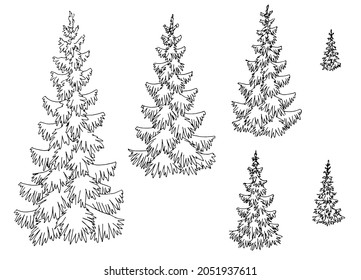 Fir tree set spruce graphic black white isolated sketch illustration vector 