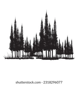 fir tree shadow icon for landscape design needs
