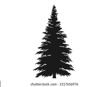 fir tree silhouette. Christmas and New Year design element. isolated vector image