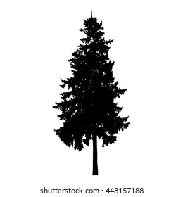 Fir tree silhouette isolated on white background. Vector tree.