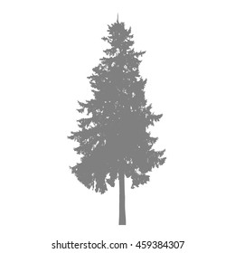 Fir tree silhouette isolated on white background. Vector tree.