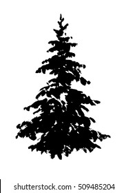Fir tree silhouette isolated on white. Hand drawn ink illustration.
