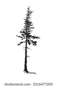 silhueta de árvore de abeto no fundo branco