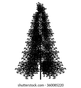 Fir tree silhouette on white background. Vector illustration.