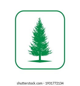 Fir tree silhouette vector illustrations
