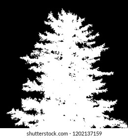Fir tree silhouette. White and black vector.