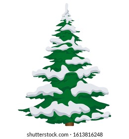 Fir tree in the snow on a white background. Vector illustration