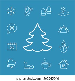 fir tree spruce winter snow vector line icons set