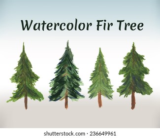 Fir tree - a symbol of new year and Christmas. Four isolated vector spruces on a light background. Watercolor painting.