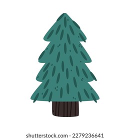 Fir Tree with Trunk and Needles Growing in Park or Woodland Vector Illustration