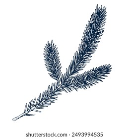 Fir tree twig botanical hand drawn Isolated vector illustration. Fir sketch template for card design Christmas invitation, packaging, label, poster, party, holiday decor. Engraving style banner