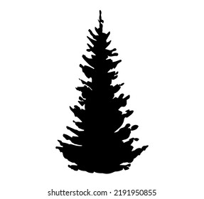 fir tree vector black silhouette  isolated on white background. Christmas tree