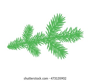 Fir tree. Vector illustration EPS10. Isolated fir tree branch on white background