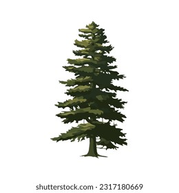 fir tree watercolor detailed illustration