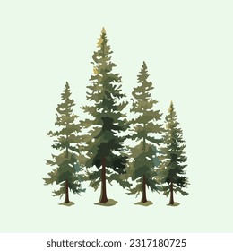 fir tree watercolor detailed illustration