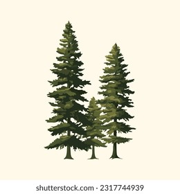 fir tree watercolor detailed illustration