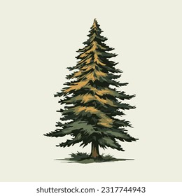 fir tree watercolor detailed illustration