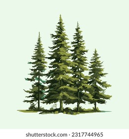 fir tree watercolor detailed illustration