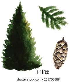 Fir tree watercolor. Vector illustration.