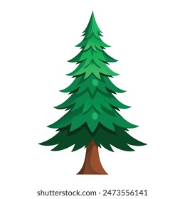 fir tree with white background