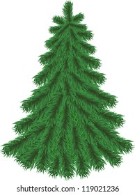 Fir tree without Christmas decorations isolated on white