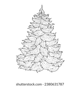 Fir tree.Coloring book antistress for children and adults. Illustration isolated on white background.Zen-tangle style. Hand draw