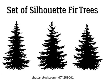 Fir Trees, Christmas Holiday Decoration, Black Silhouettes Isolated on White Background. Vector