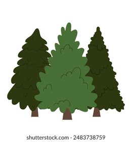 Fir trees, conifer plants. Wood nature with spruce, firtree. Coniferous woodland, green eco environment. Evergreen flora, greenery outdoors. Flat vector illustration isolated on white background