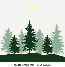 Fir trees of different shapes, coniferous, dense forest with fir trees pine trees, the sun is shining, beautiful dawn objects isolated from the background. Vector graphics 
