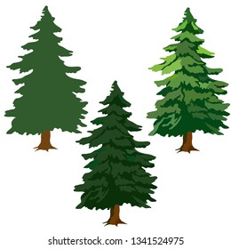 fir trees, drawing pictures, green fir trees