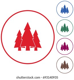 Fir Trees forest flat icon  