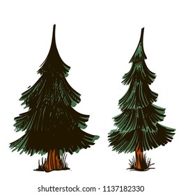 Fir trees in hand drawn, sketch style. Landscape element for game design and animation. Vector illustration isolated on white background.