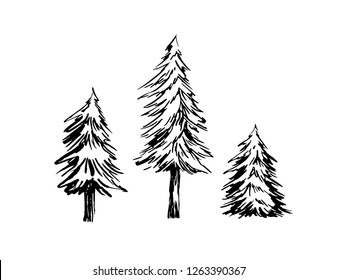 Fir trees ink sketches set vector