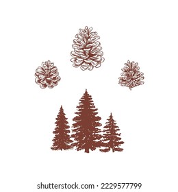 Fir trees and pines, vector hand drawn illustration