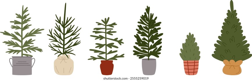 Fir Trees in Potted Set. Natural Eco-Friendly Evergreens. Green pine, spruce in craft paper, vase, bucket. Sustainable concept. Christmas trees. Vector illustrations isolated