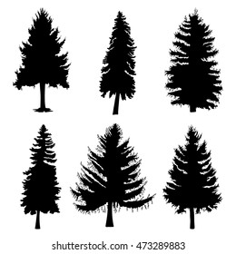 Fir trees set isolated on white background illustration. Collection of black coniferous trees silhouettes. Hand drawing. 