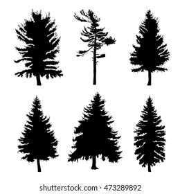 Fir trees set isolated on white background illustration. Collection of black coniferous trees silhouettes. Hand drawing. 