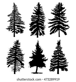 Fir trees set isolated on white background illustration. Collection of black coniferous trees silhouettes. Hand drawing. 