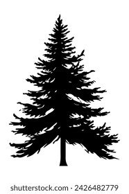 Fir trees silhouette. Black silhouette of sine tree on white background. Vector illustration